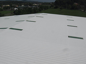 Standing Seam Roof