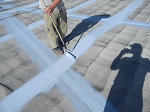 Roof Coatings – Eau Claire, WI 1