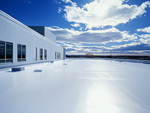 Roof Coatings Madison, WI 1