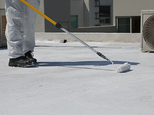 Rubber Roof Coating Madison, WI 2
