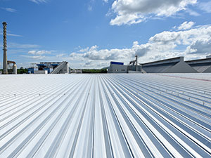 Pro Rib Metal Roof Sparta, WI 1